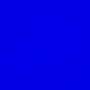 Meet your Posher, Izzy